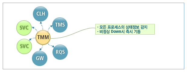 소프트웨어 장애