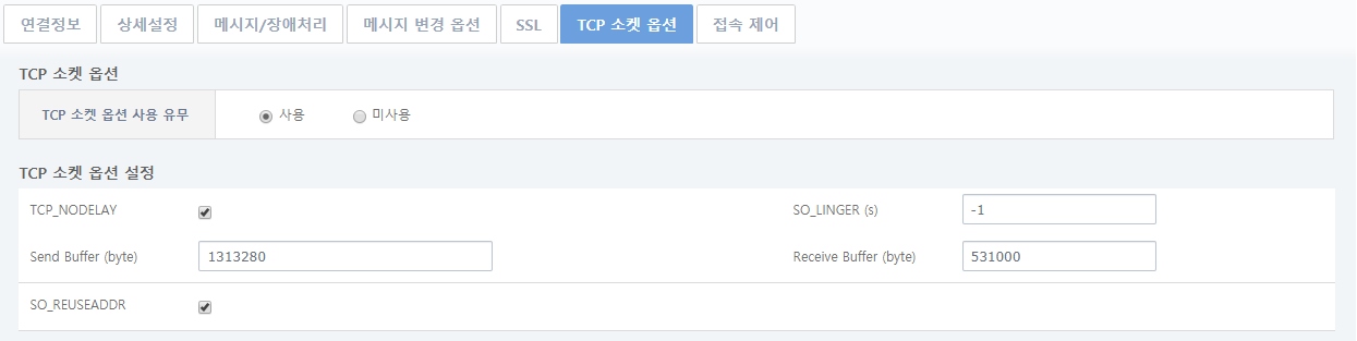 엔드포인트 등록 화면 - [TCP 소켓 옵션]